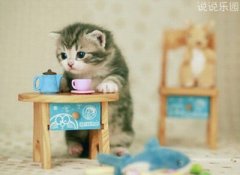 QQ�ռ��Ц��˵˵�����������˵�����ô����Ǳ���ʳ