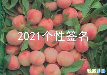 2021ǩ̾ 2021΢Ÿǩ