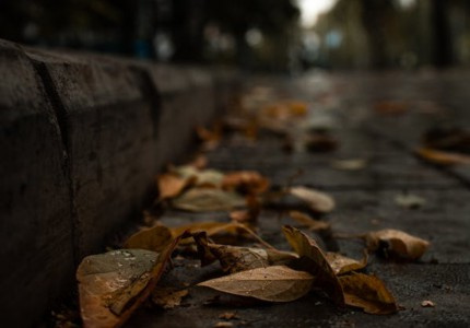 ���ڲ���������������