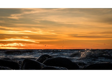 2026�ɰ�����������