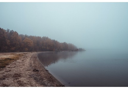 2026�ÿ��ֺ�����������