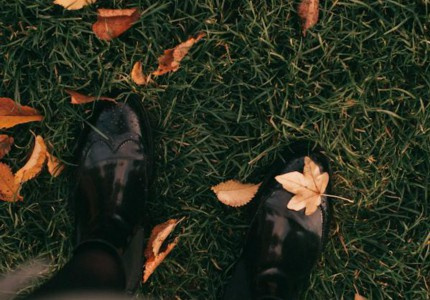 ΢��������������ר��